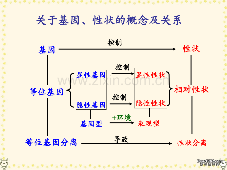 高考生物专题复习十遗传的基本规律一-人教.ppt_第1页