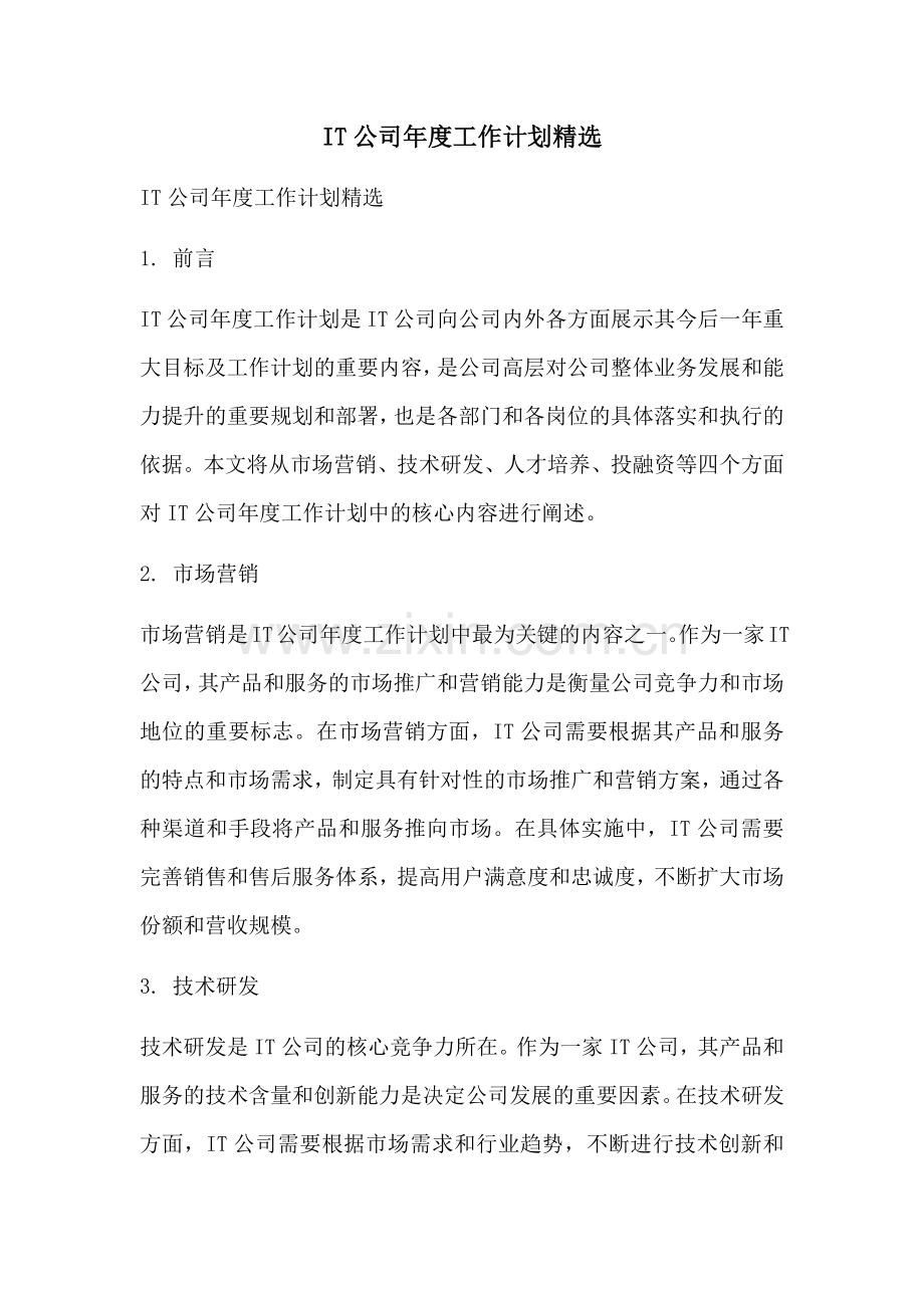 IT公司年度工作计划.docx_第1页