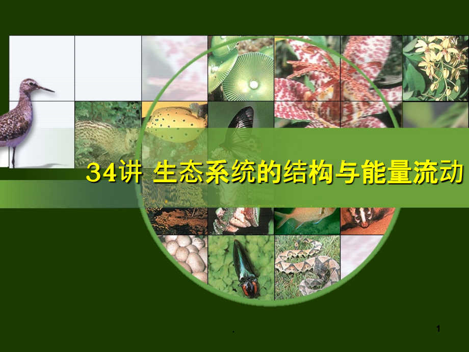 高考轮复习生态系统的结构与能量流动.ppt_第1页