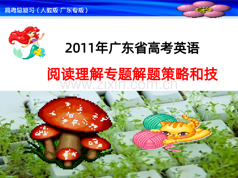 高考阅读理解解题策略.ppt_第1页