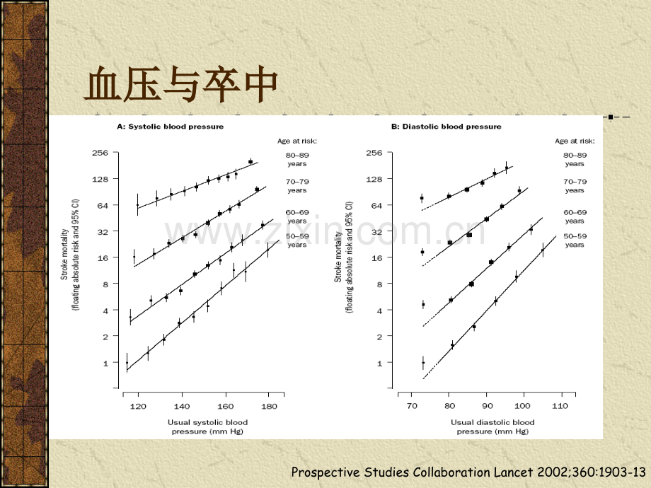 高血压的治疗策略.ppt_第2页