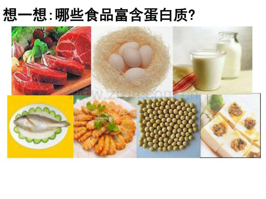 生命活动的主要承担者蛋白质公开课图文.pptx_第2页