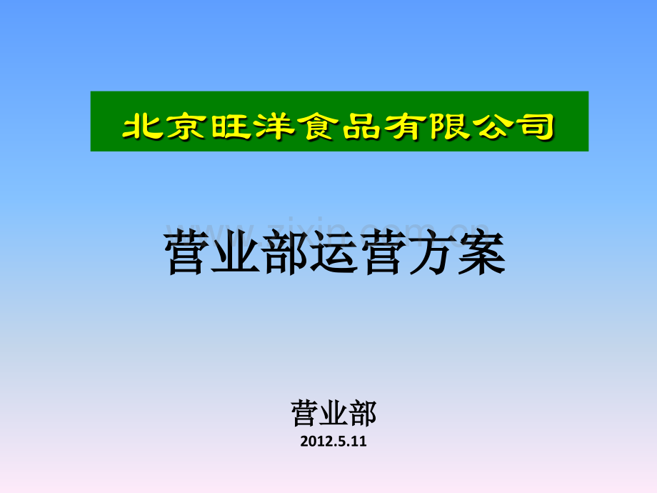 营业部运营执行方案.pptx_第1页