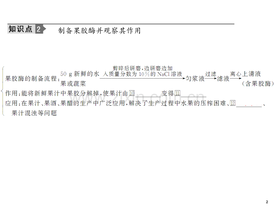 高考总复习生物专项突破系列选修.ppt_第2页