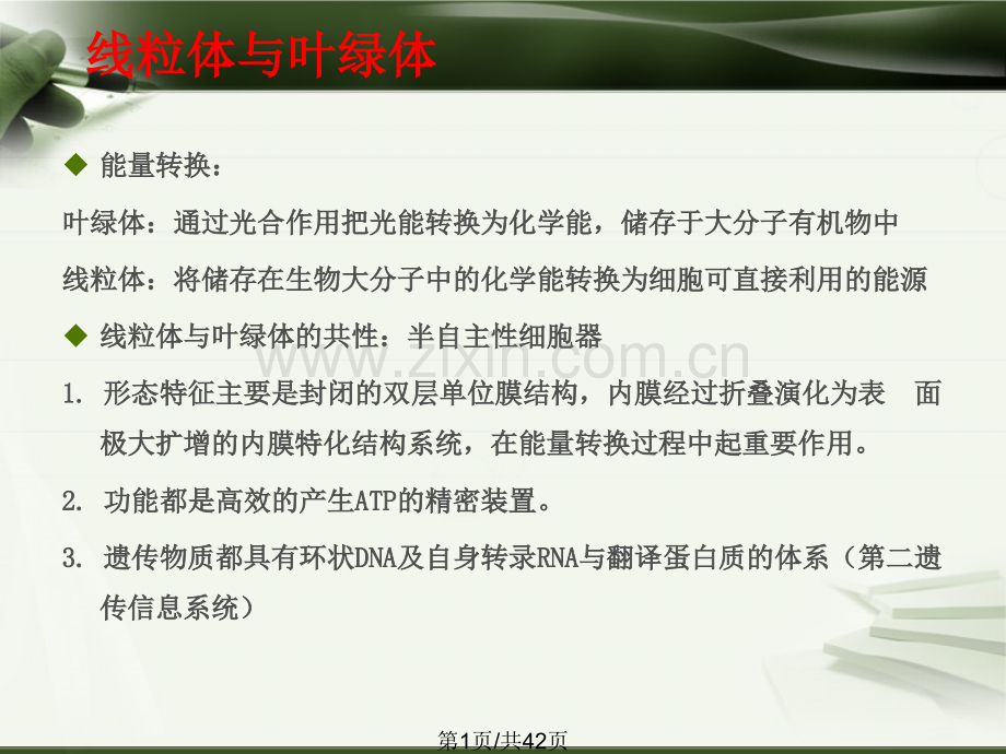 线粒体与细胞能量转换.pptx_第1页