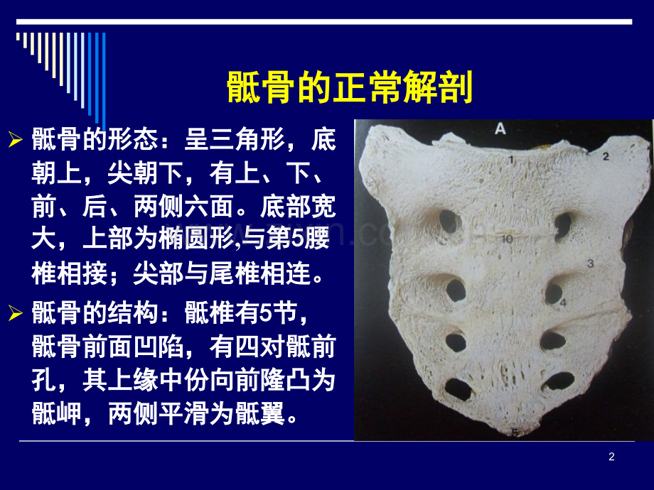 第九讲骶骨的解剖学变异.pptx_第2页