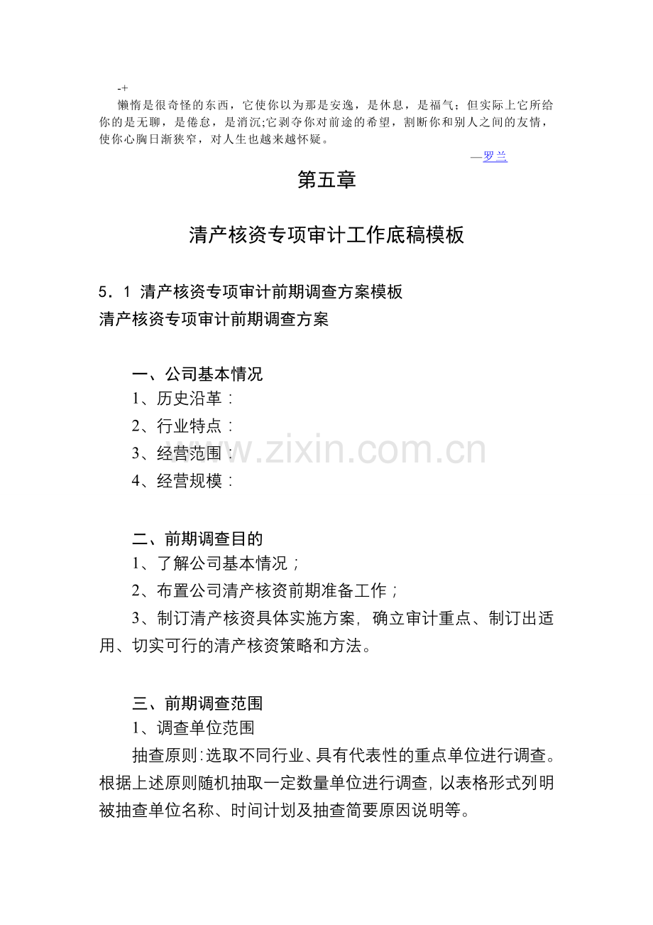 Agfouxo清产核资专项审计计划底稿模板.doc_第1页