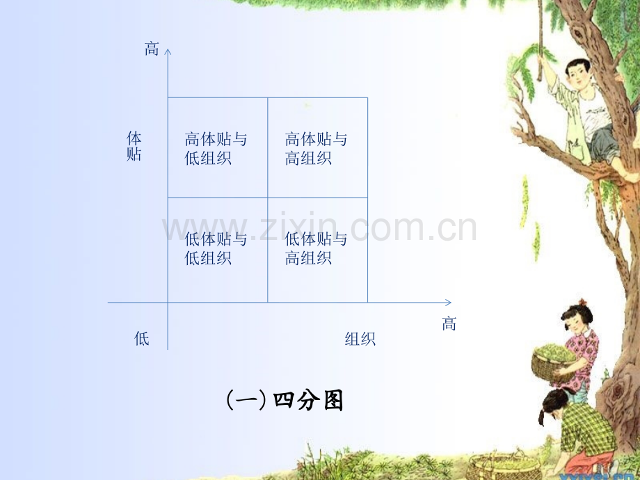 生命周期理论.pptx_第2页