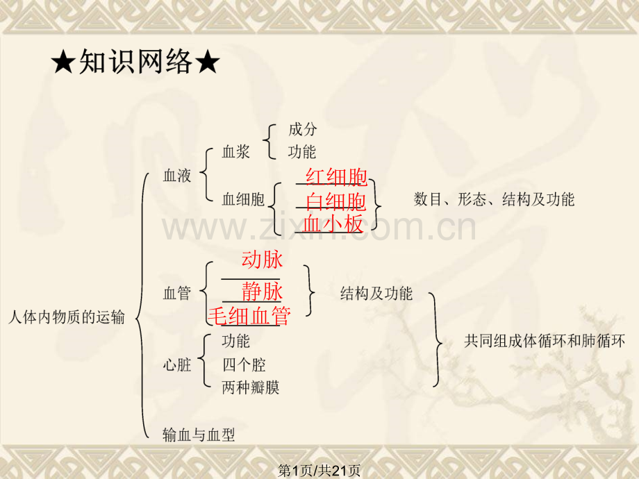单元人体内物质运输.pptx_第1页