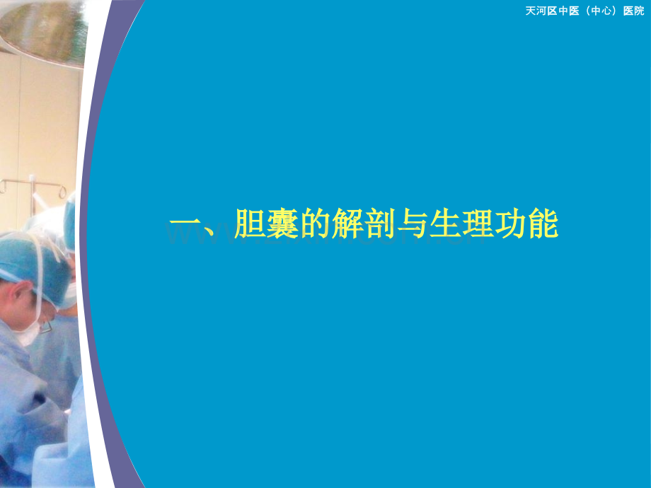 胆囊结石的形成.pptx_第1页