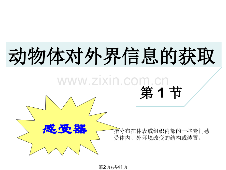动物对外界信息获取.pptx_第2页