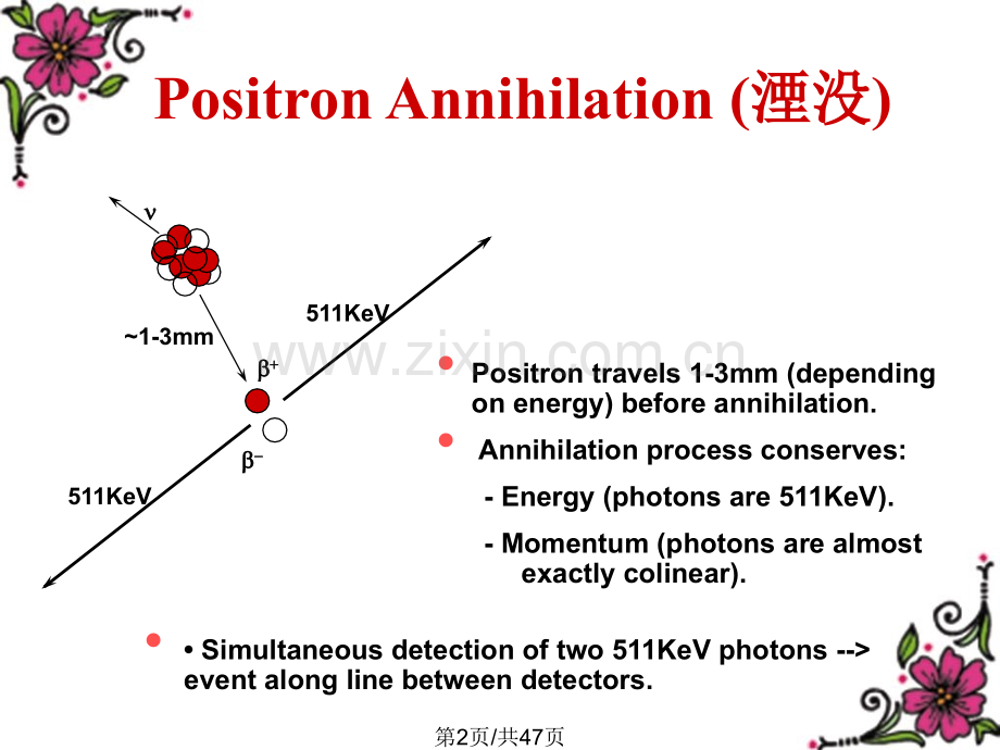 正电子核素显像.pptx_第2页