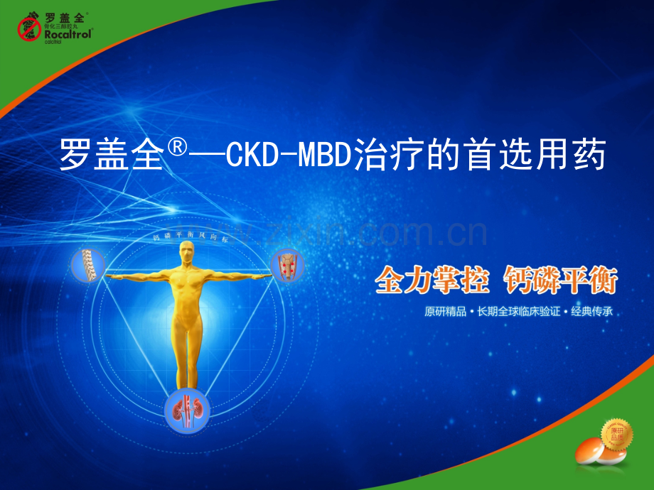罗盖全治疗CKDMBD的首选用药.pptx_第1页