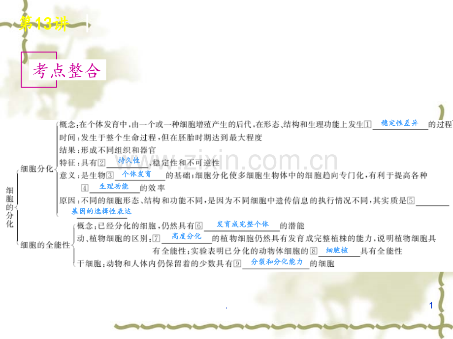 高考生物一轮复习广东专用第讲-细胞的分化衰老凋亡和癌变.ppt_第1页