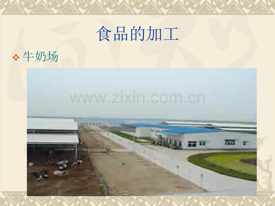 食品的加工.pptx_第2页