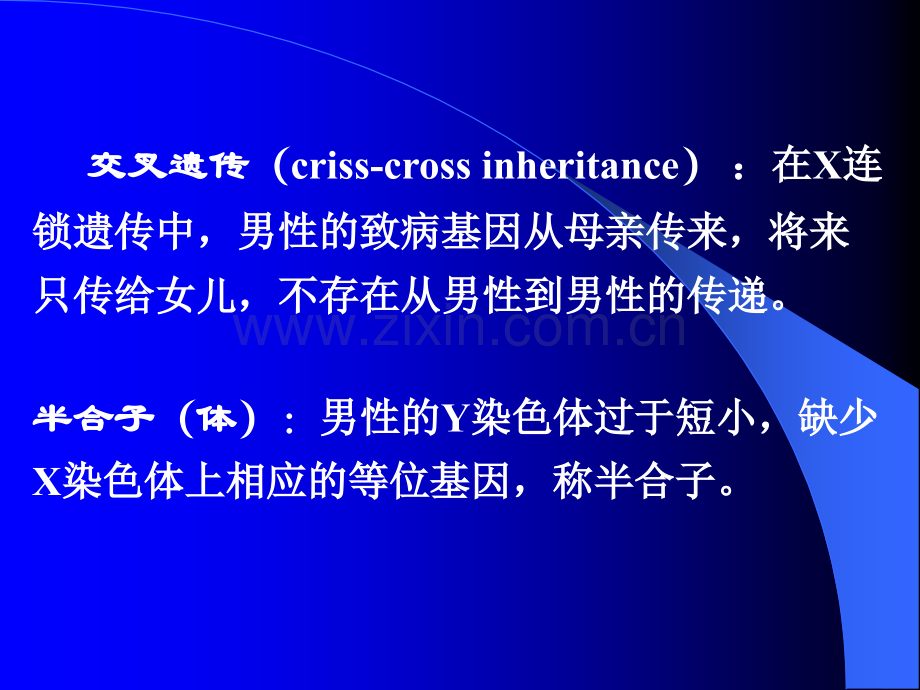 单基因遗传下.pptx_第1页