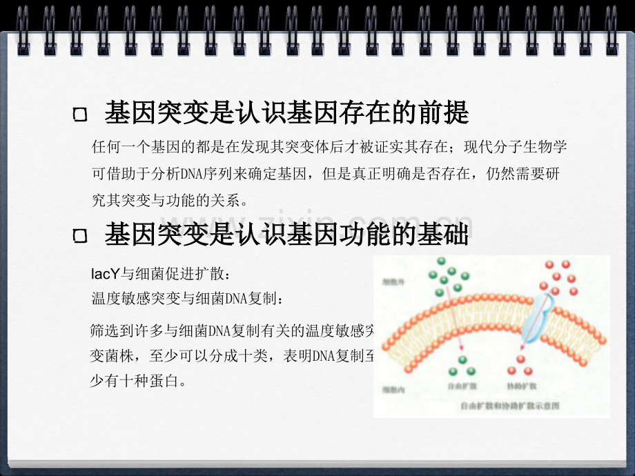 高级微生物.pptx_第2页