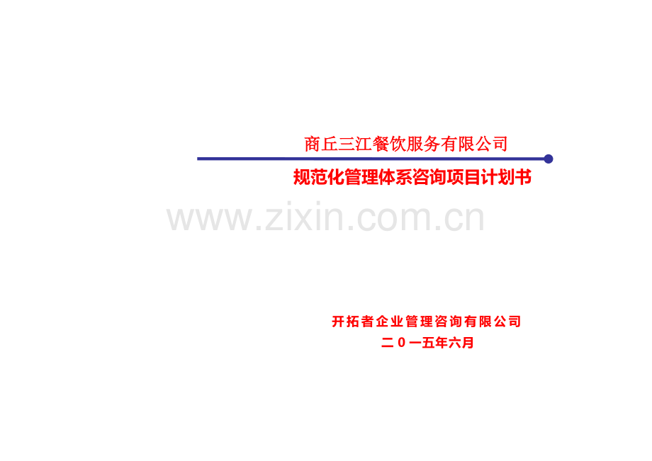 咨询工作计划.doc_第1页