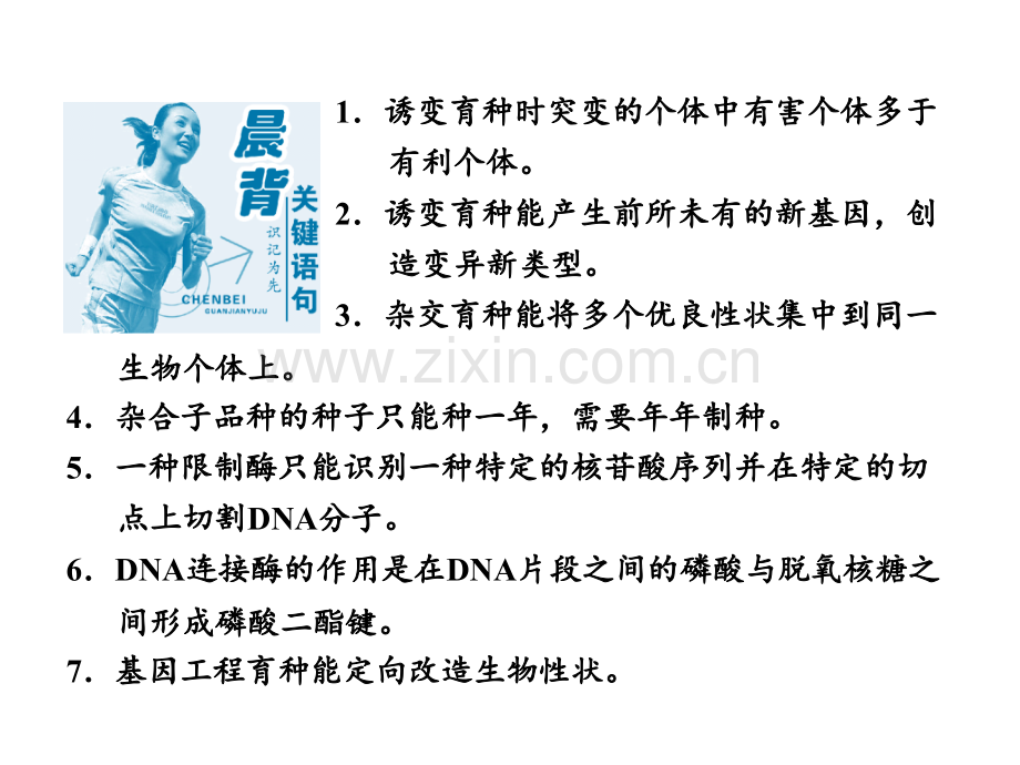 高考生物一轮复习第章-从杂交育种到基因工程.ppt_第1页