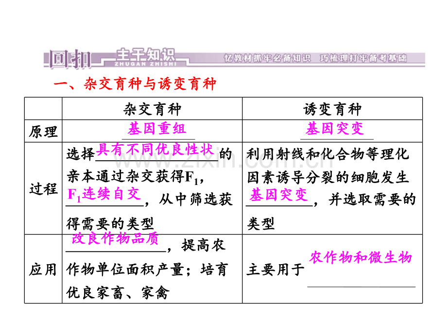 高考生物一轮复习第章-从杂交育种到基因工程.ppt_第2页