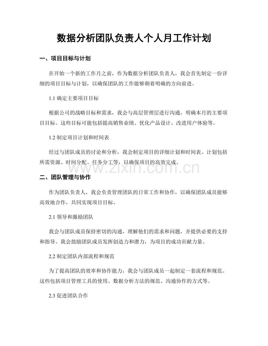数据分析团队负责人个人月工作计划.docx_第1页