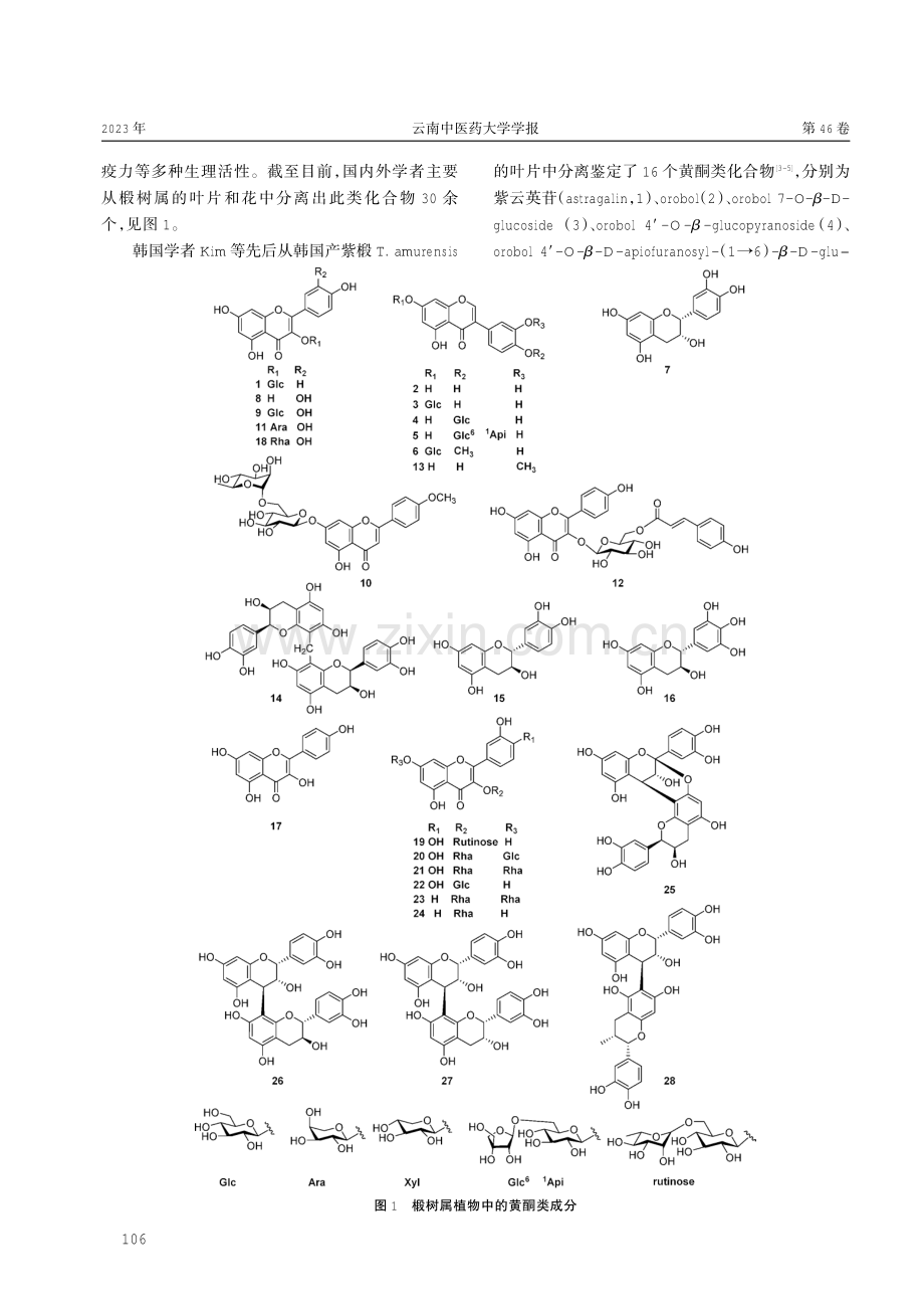 椴树属植物的化学成分和药理活性研究进展.pdf_第2页