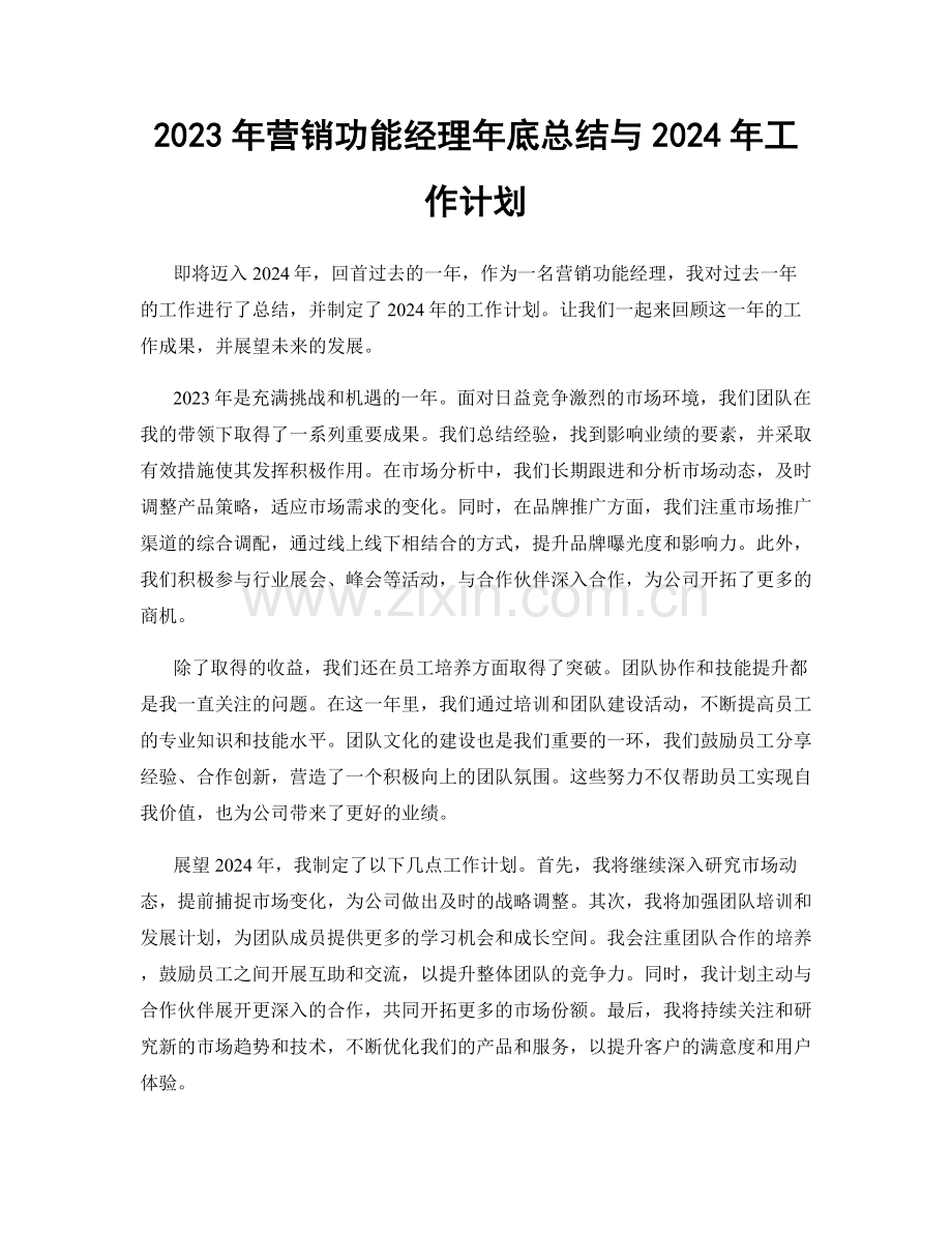 2023年营销功能经理年底总结与2024年工作计划.docx_第1页