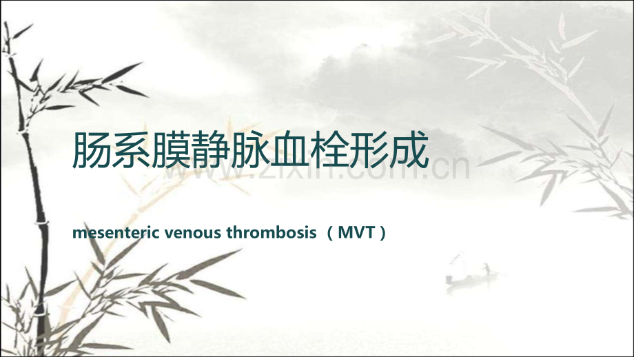 肠系膜静脉血栓形成-PPT.pptx_第1页