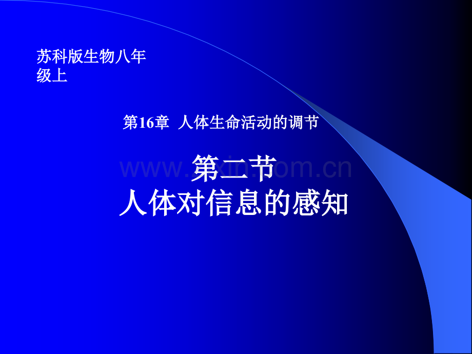 人体对信息的感知.ppt_第1页