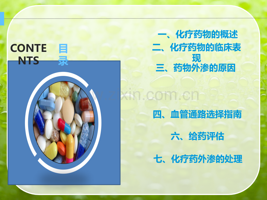 化疗病人如何保护血管.ppt_第2页