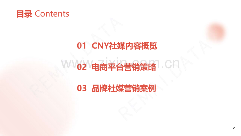 2024CNY营销洞察.pdf_第2页