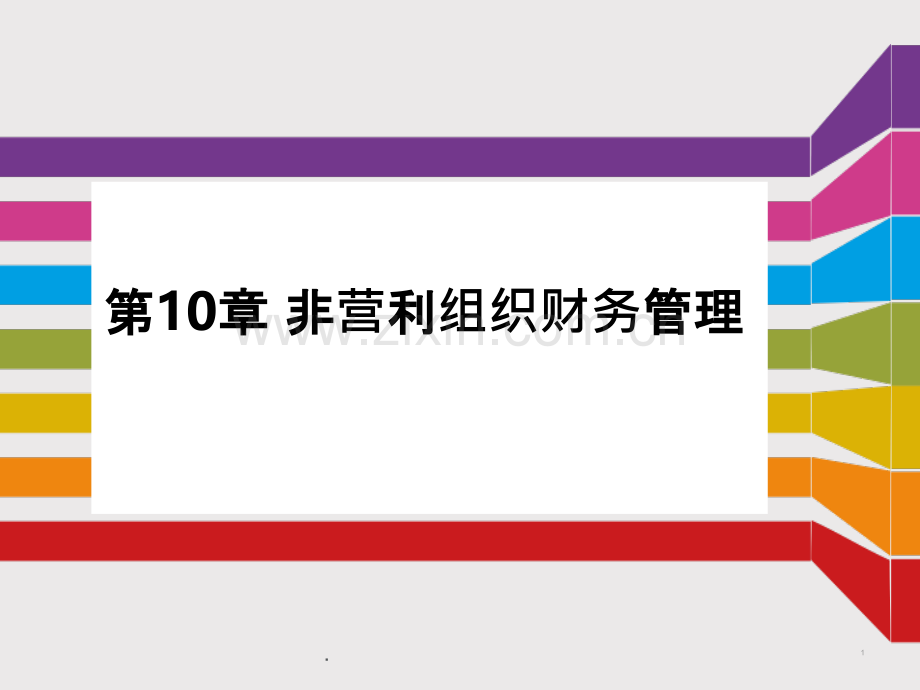 十非营利组织财务管理.ppt_第1页