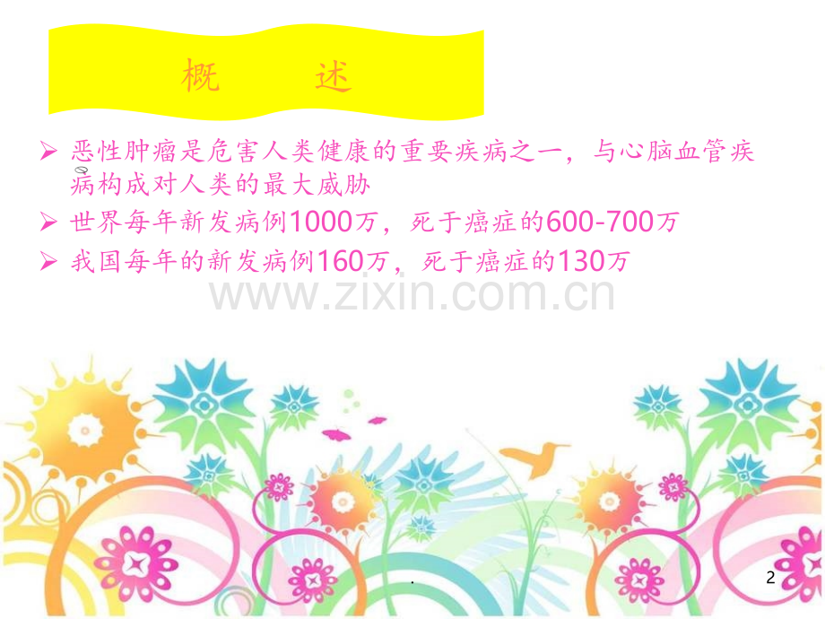 化疗药使用注意事项.ppt_第2页