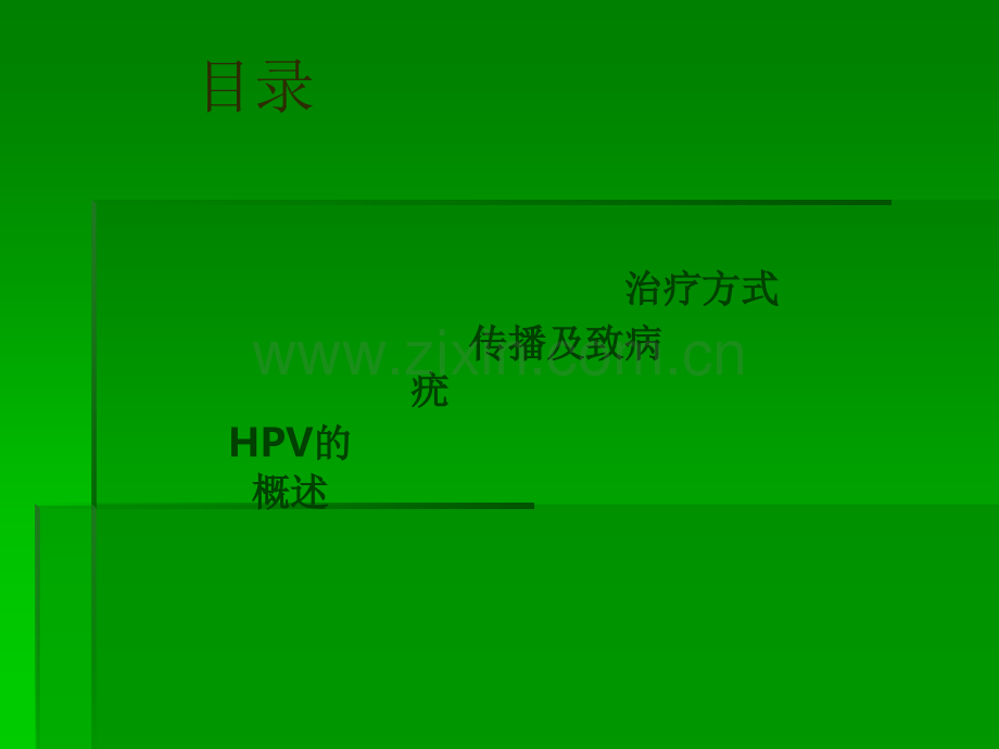 人乳头状瘤病毒.ppt_第2页