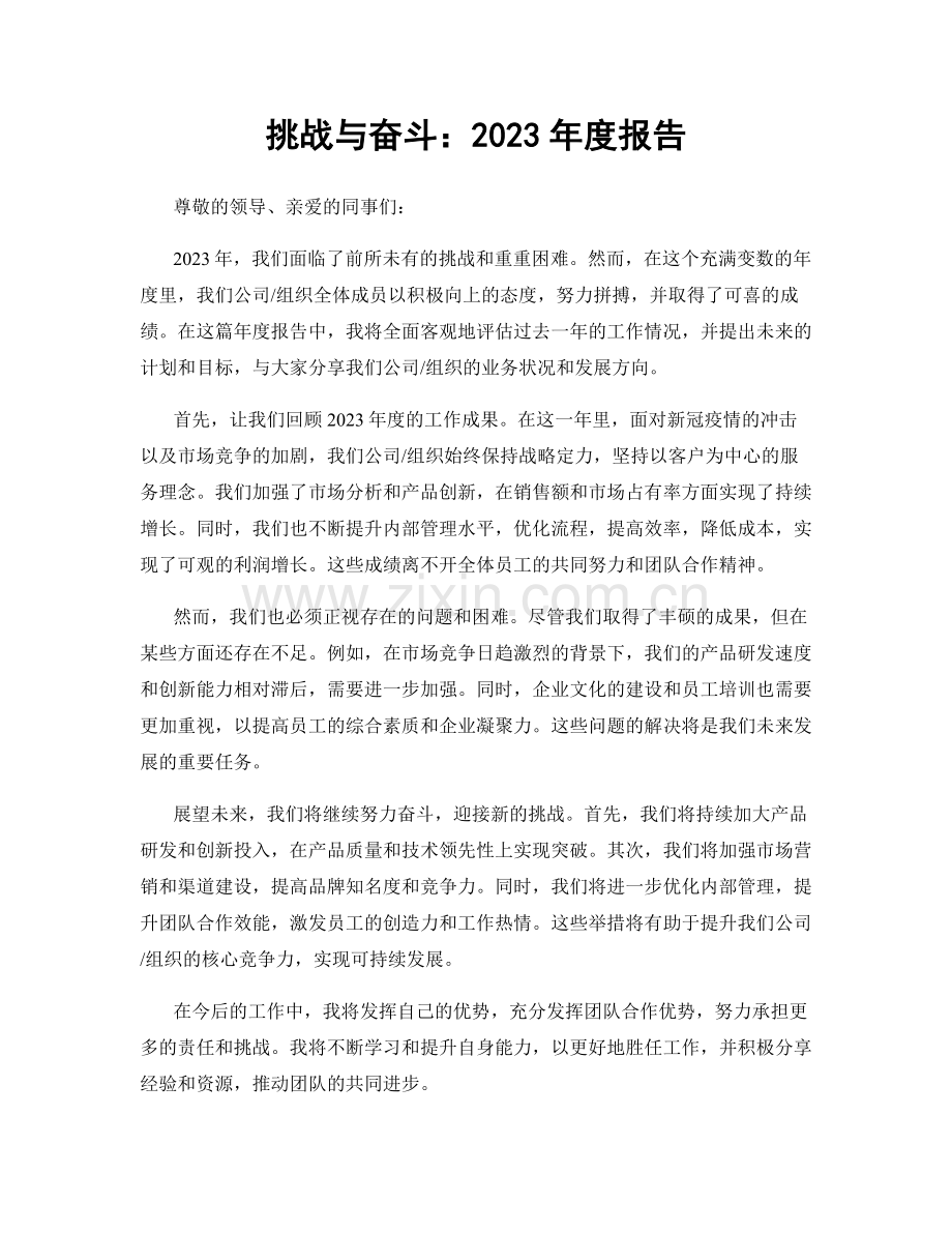 挑战与奋斗：2023年度报告.docx_第1页