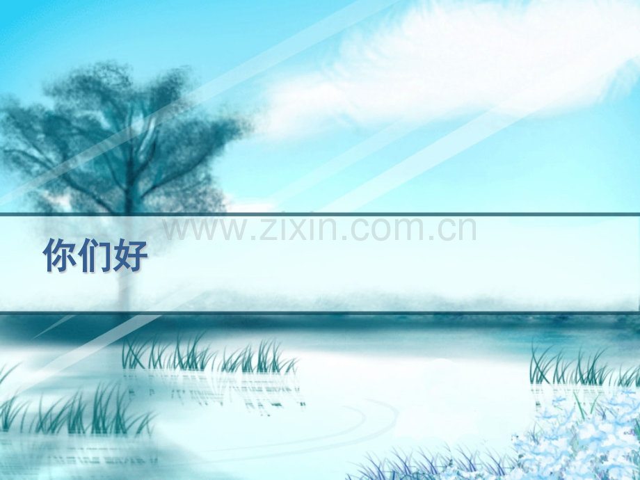 鼻胆管护理-PPT.pptx_第1页