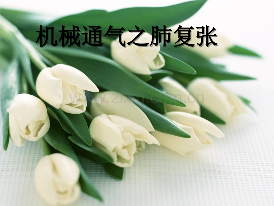肺复张-PPT.ppt_第1页