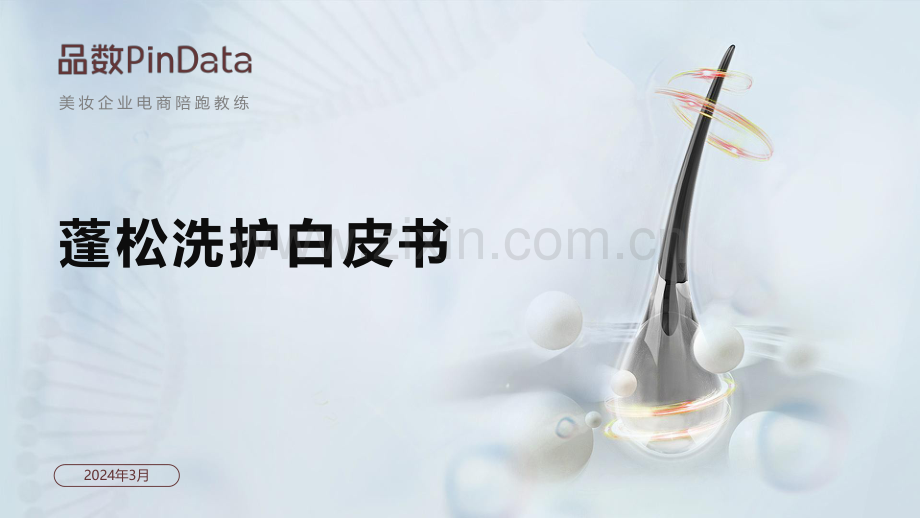2024年蓬松洗护白皮书-品数PinData.pdf_第1页