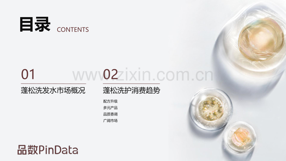 2024年蓬松洗护白皮书-品数PinData.pdf_第2页