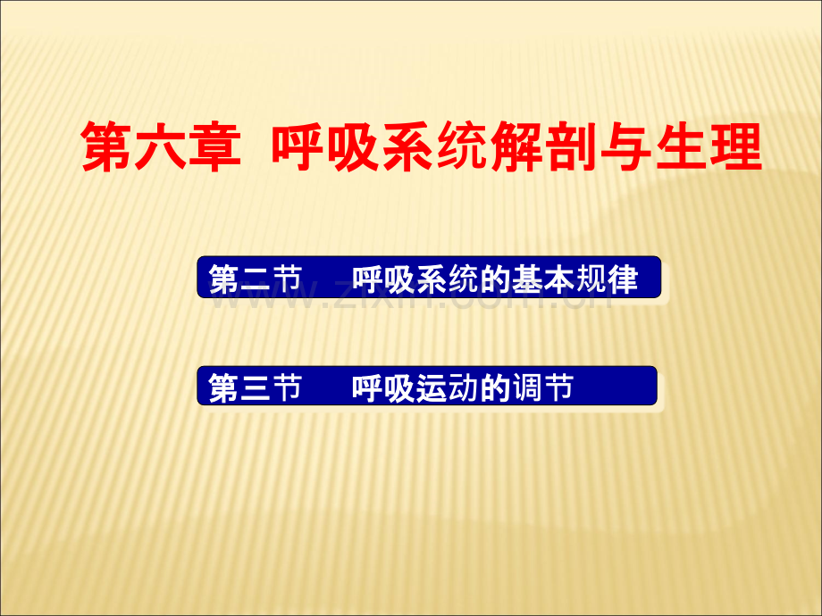 呼吸系统解剖与生理.ppt_第1页