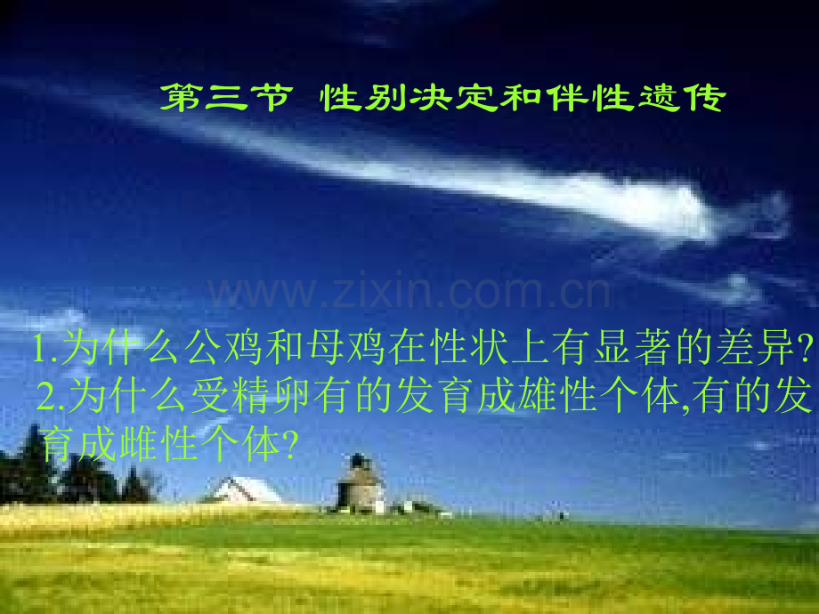 三节性别决定和伴性遗传.ppt_第1页
