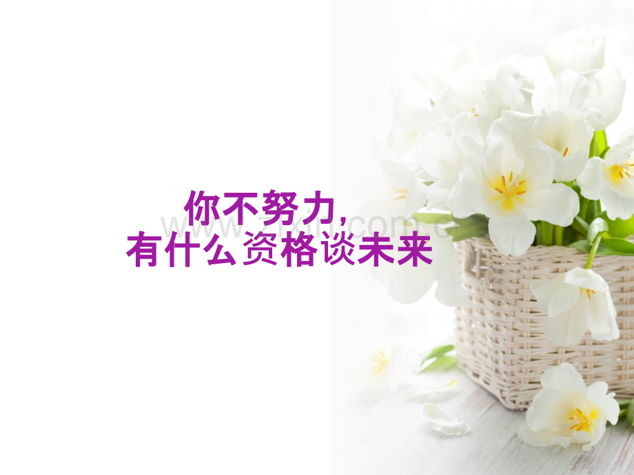 你不努力-有什么资格谈末来.ppt_第1页