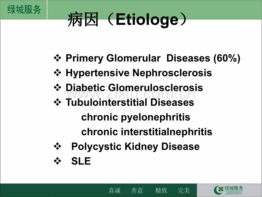 -慢性肾衰竭-.ppt_第2页