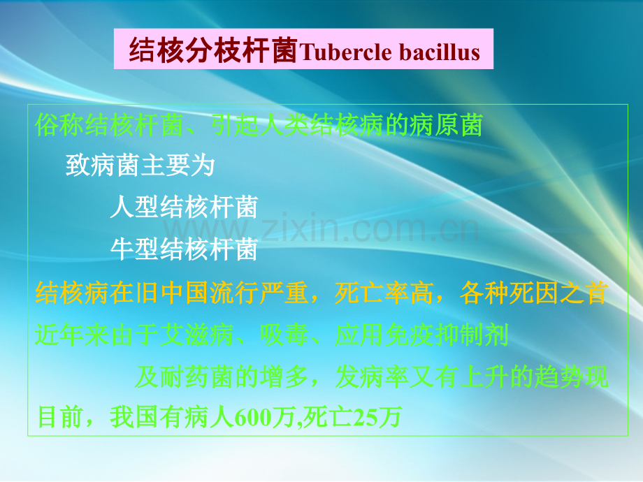 呼吸道传播细菌.ppt_第2页