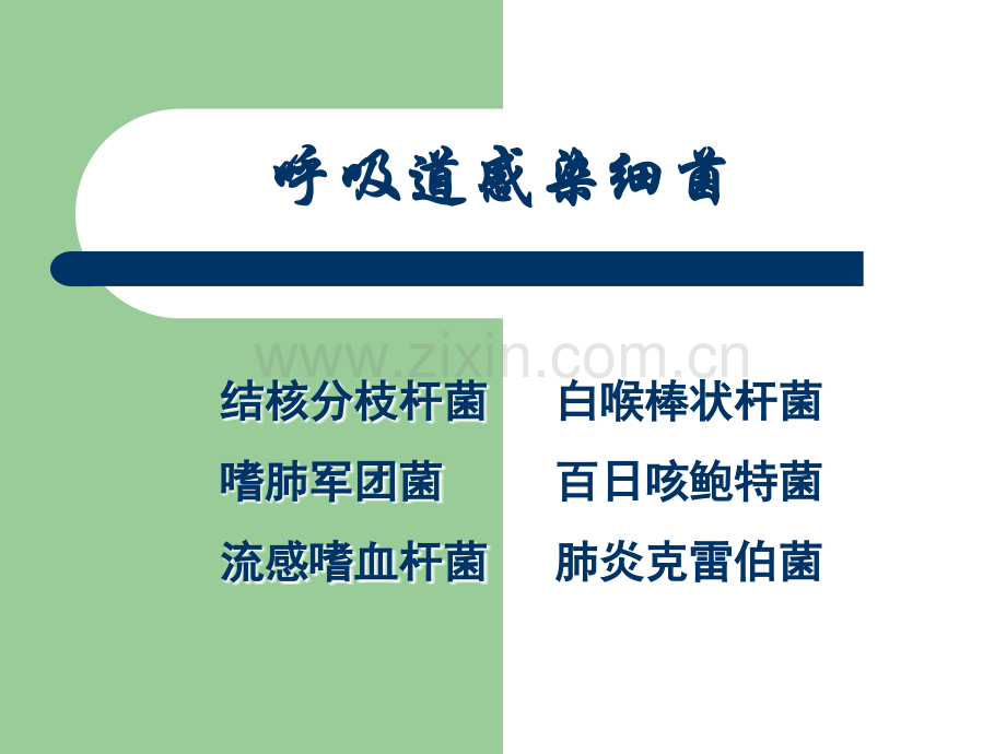 呼吸道感染细菌指南.ppt_第1页