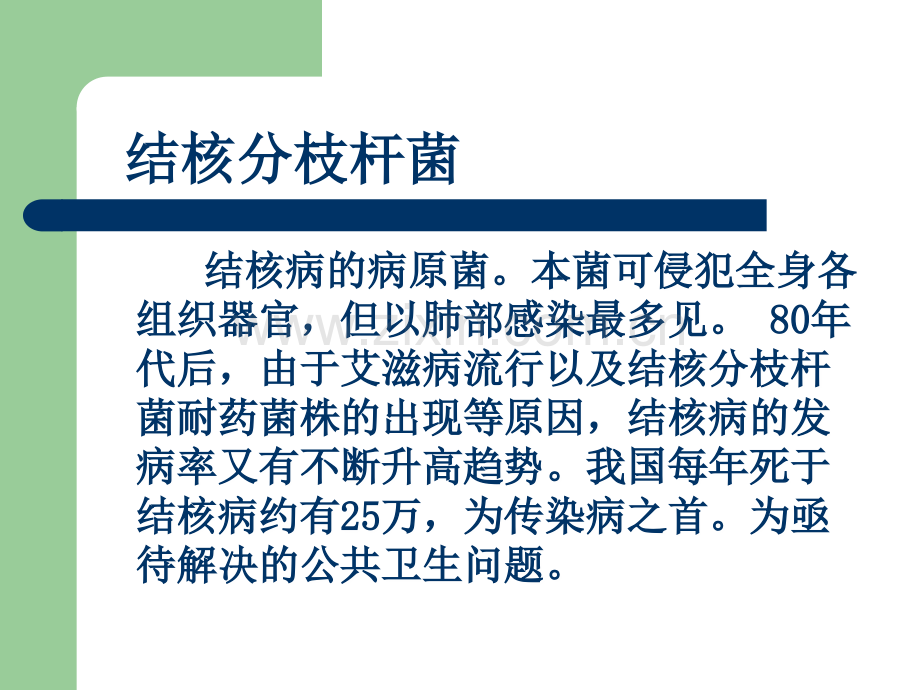 呼吸道感染细菌指南.ppt_第2页