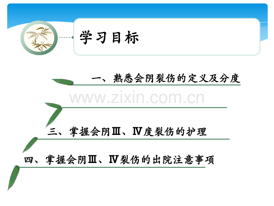 会阴三四度裂伤的护理.ppt_第2页