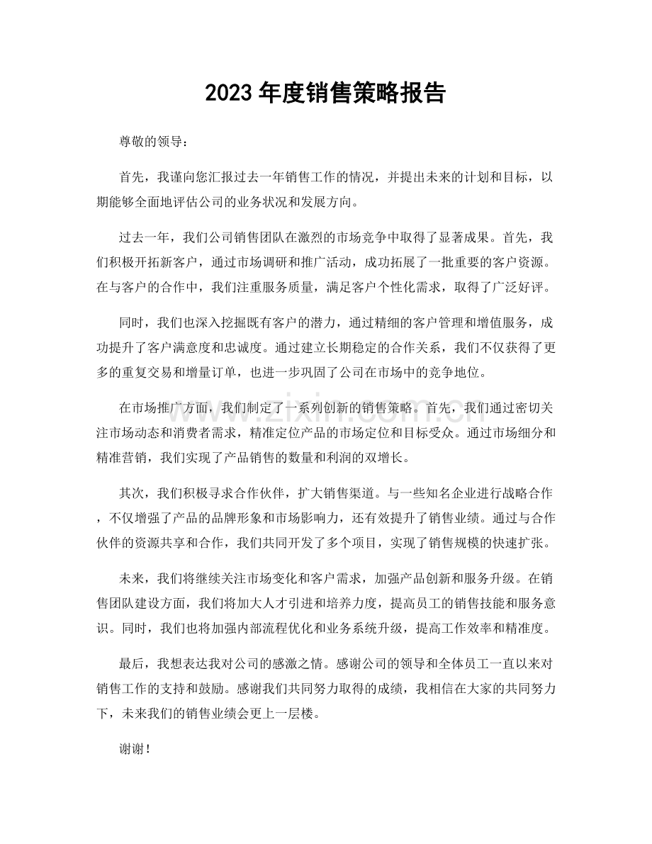 2023年度销售策略报告.docx_第1页