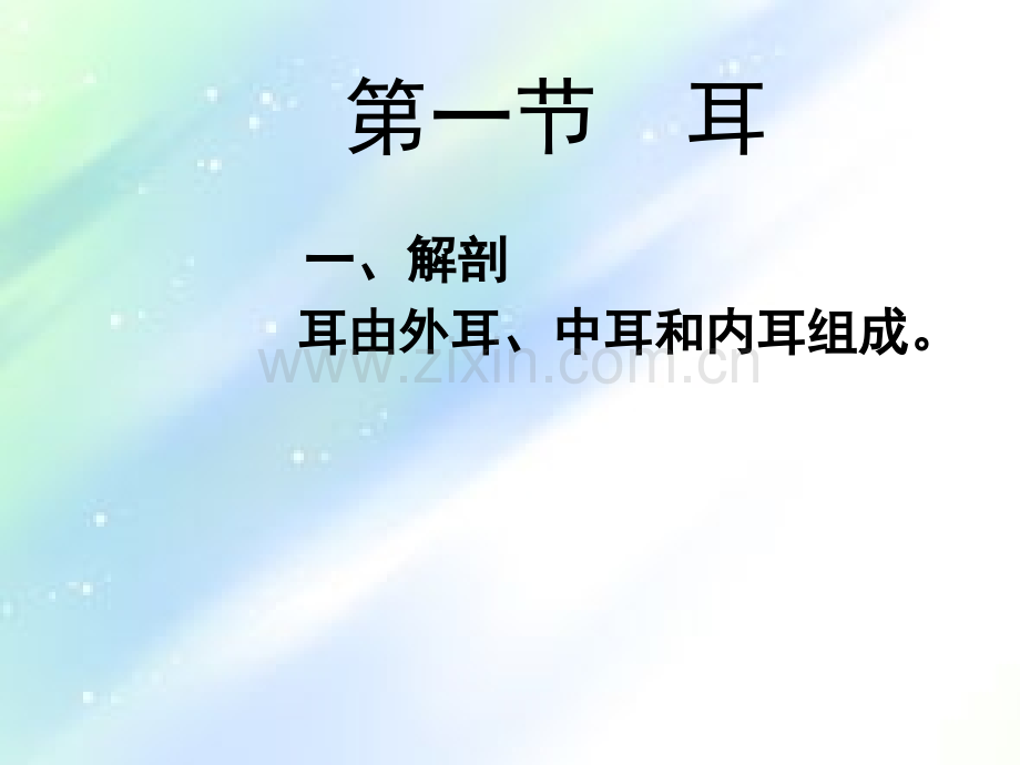 第9讲耳鼻咽喉解剖生理-PPT.ppt_第2页