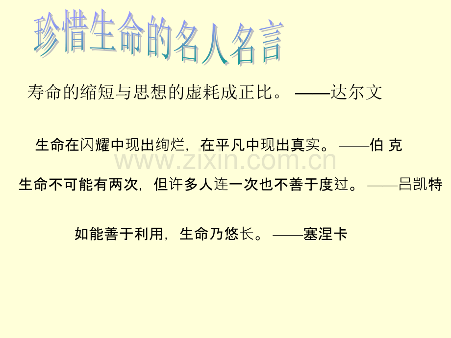 交通安全教育主题班会.ppt_第2页